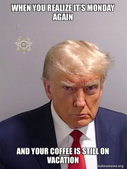 THIS MUGSHOT IS ONE OF THE FEW MOMENTS TRUMP WASN'T PHOTOGRAPHED WITH PEDOPHILE JEFFREY EPSTEIN