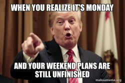 Its the Democrats fault 