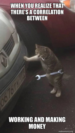 Mechanic Cat