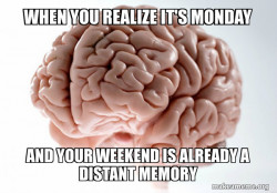 this is a brain and you donÂ´t have one 