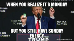 Trump Bullish on Somnia