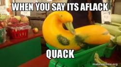 Gourd Advice Mallard