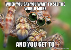 Hipster Spider