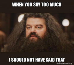 Hagrid - I should not have said that