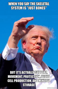 Trump Shot