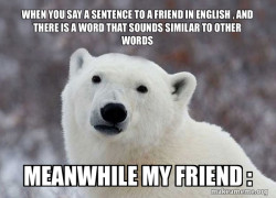 Popular Opinion Polar Bear