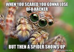 Hipster Spider