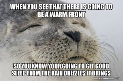 Satisfied Seal
