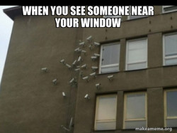 Paranoia meme