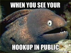 Bad Joke Eel