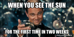 Great Gatsby Reaction - Leonardo DiCaprio Toast
