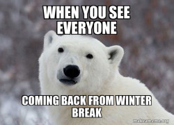 Popular Opinion Polar Bear