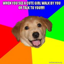 Advice Dog