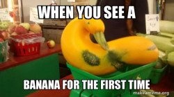 Gourd Advice Mallard