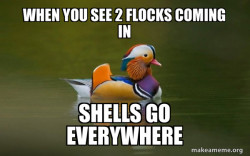 Fashionable Advice Mallard