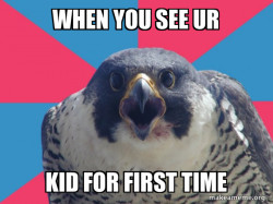 Millennial Falcon