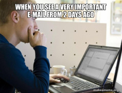 Programmer
