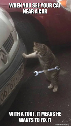 Mechanic Cat