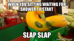 Gourd Advice Mallard