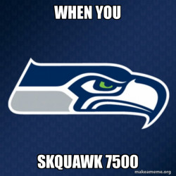 Seattle Seahawks