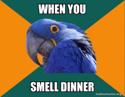 Paranoid Parrot