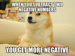 Doge