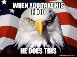 American Pride Eagle