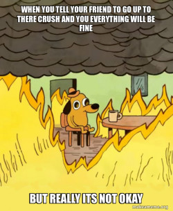 This Is Fine