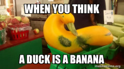 Gourd Advice Mallard