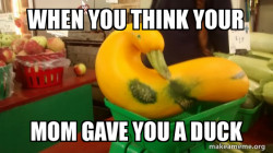 Gourd Advice Mallard