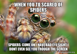 Hipster Spider