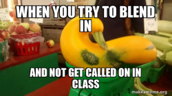 Gourd Advice Mallard
