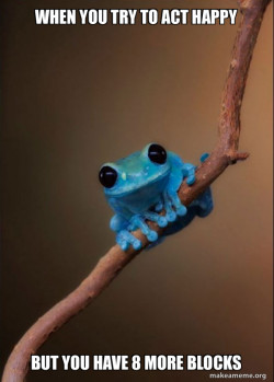 Small Fact Frog