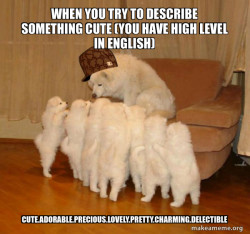 Scumbag Storytelling Dog