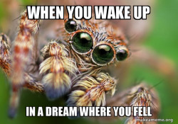 Hipster Spider