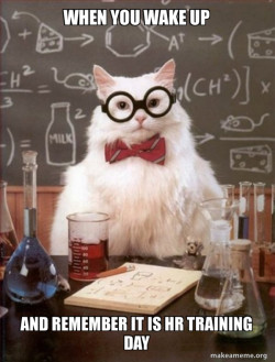 Chemistry Cat