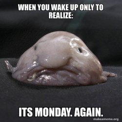 Blobfish