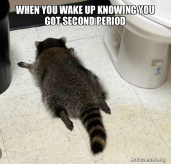 Drunk Raccoon