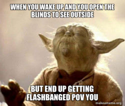 Yoda Smell