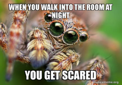 Hipster Spider