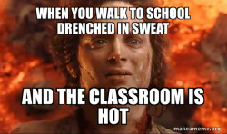 Frodo it's over it's done