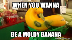 Gourd Advice Mallard
