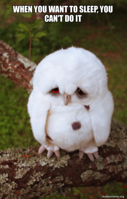 Sad Owl