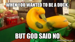 Gourd Advice Mallard