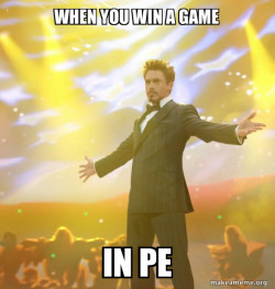 Tony Stark Success