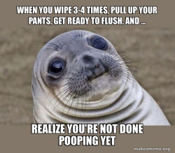 Squeamish Seal