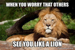 Contemplative Lion