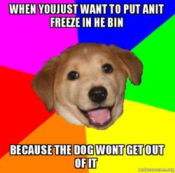 Advice Dog