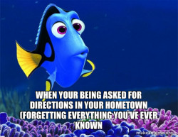 Dory from Nemo  (5 second memory)