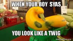 Gourd Advice Mallard